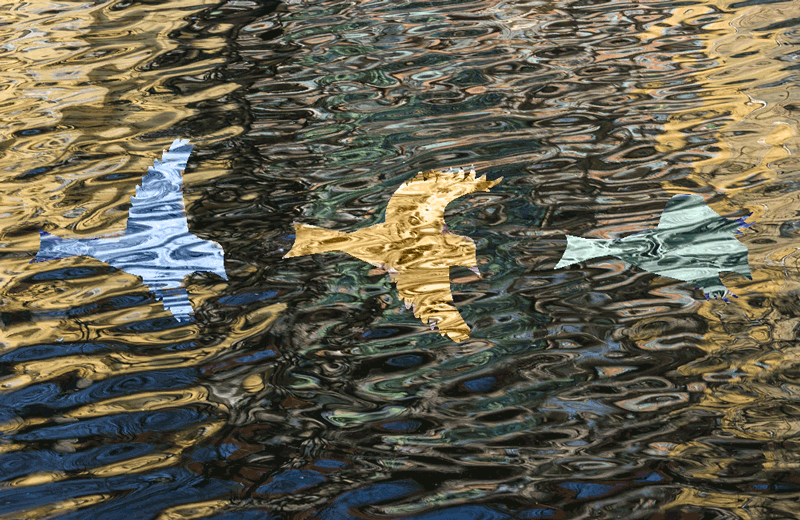 The Arts: A gateway To Success 