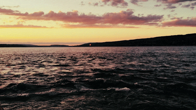 A Brief History of Public Policy&nbsp; &nbsp;