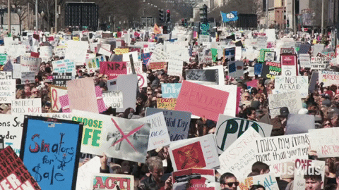 How Democracies Die: Analysis Part 1&nbsp;