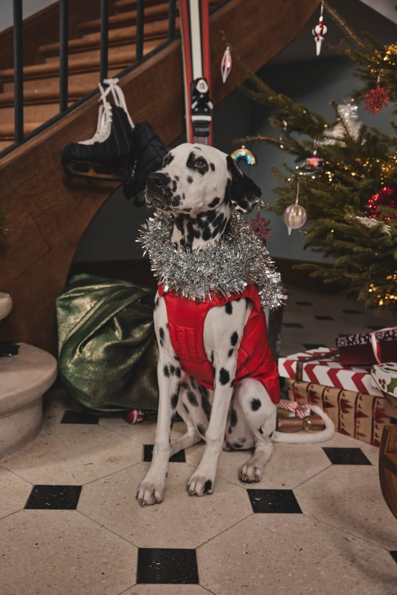 Un Noël JOTT, c'est l'aventure en famille