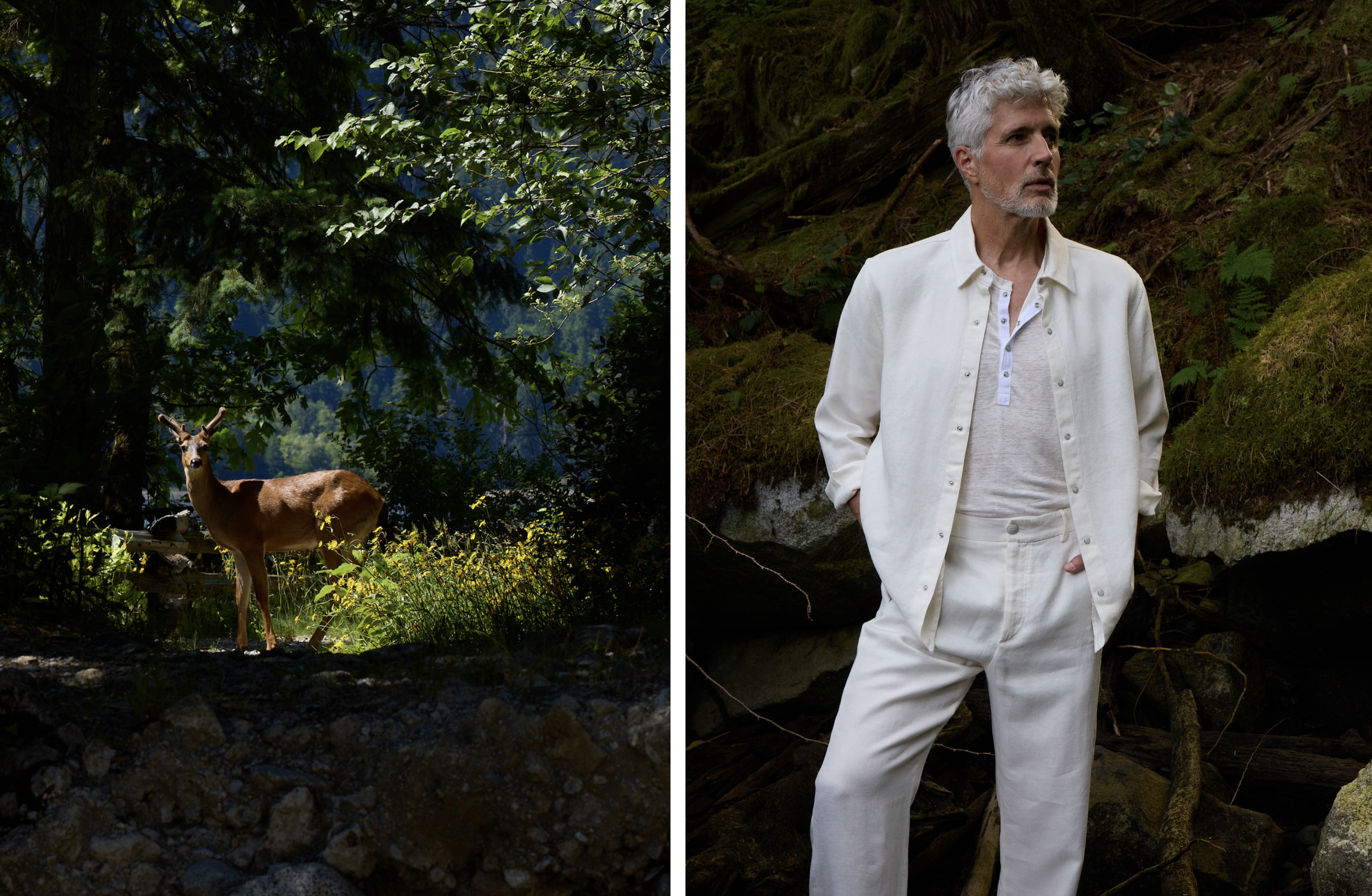 Ensemble blanc cassé, lin et cashmere dans les bois avec un cerf.