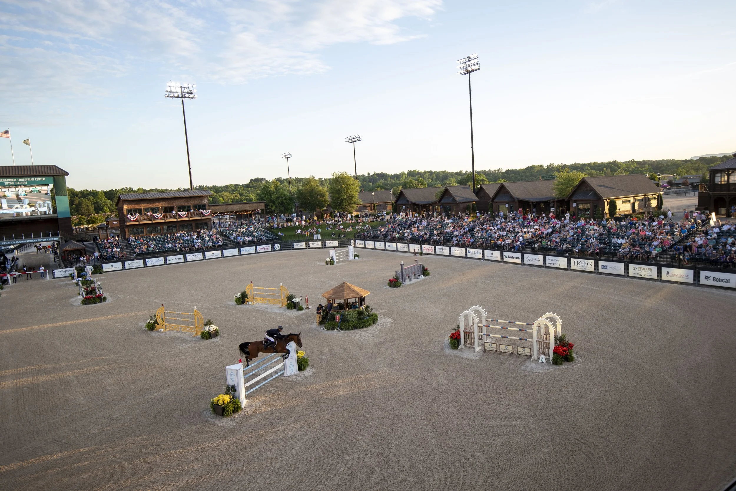 Tryon_AG3I7918RSolomon copy.jpg