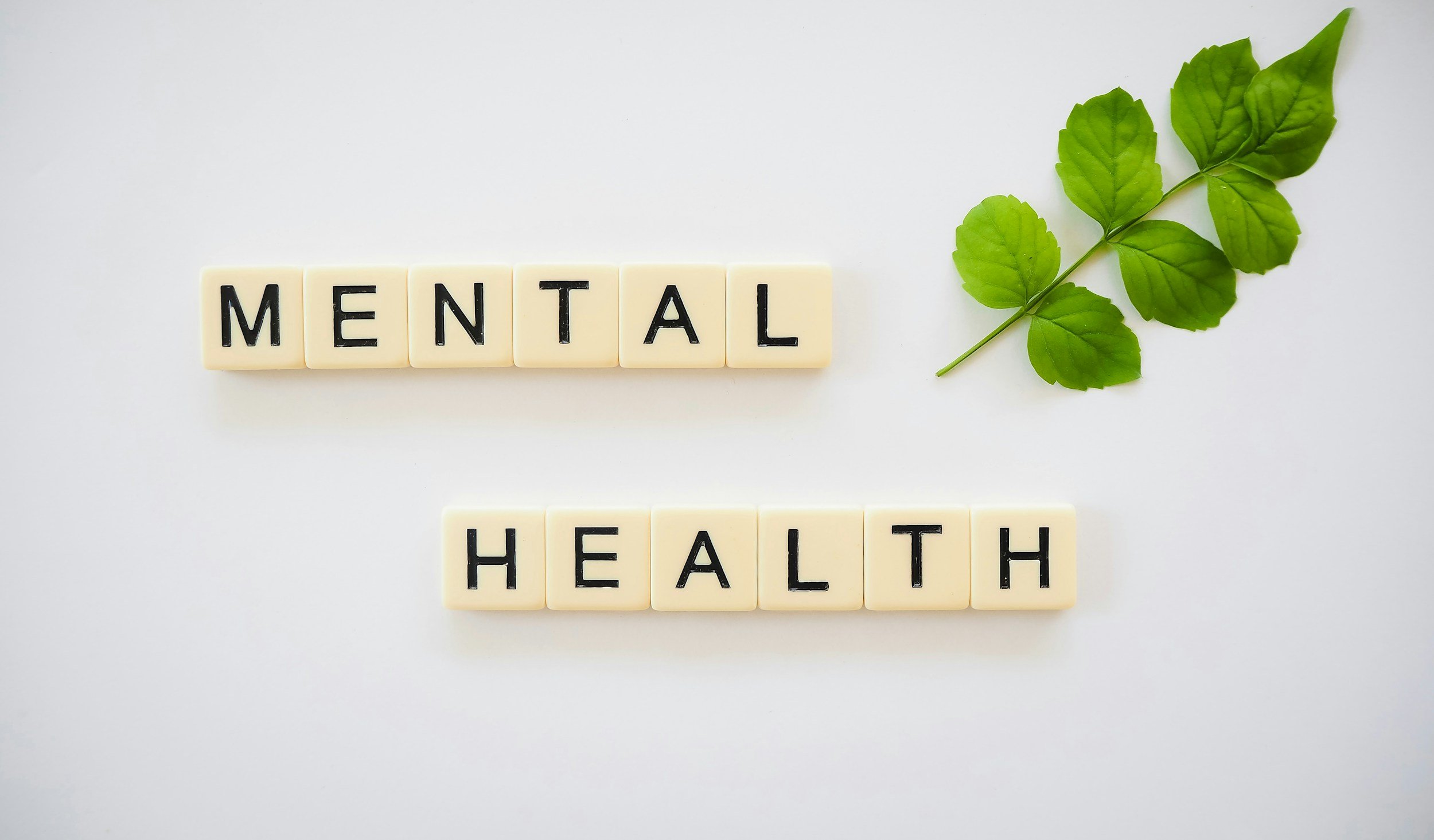 Cream-colored letter tiles spell out 'MENTAL HEALTH' on a white surface with a green leafy branch nearby.