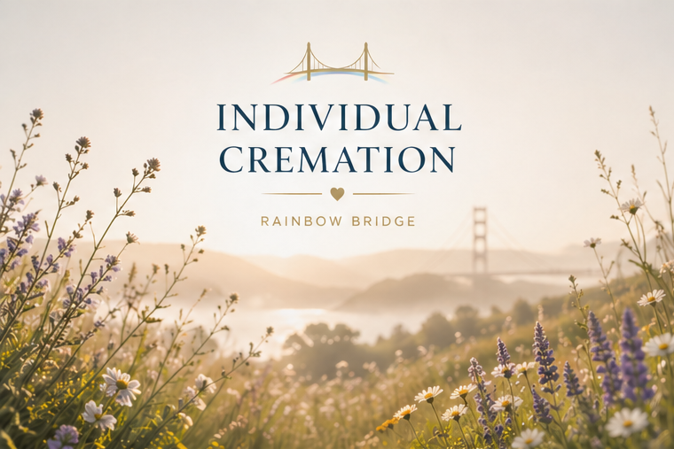 Individual Cremation