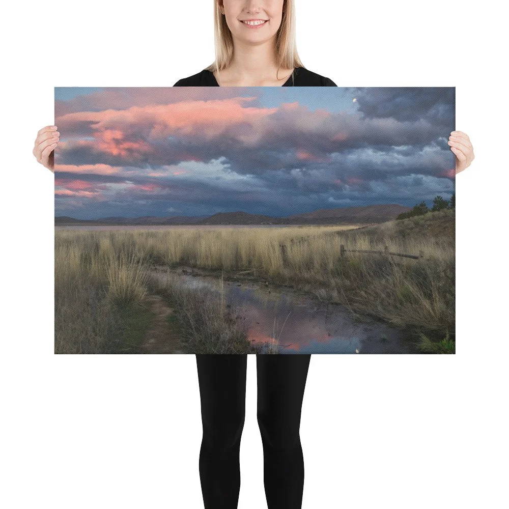 canvas-(in)-24x36-person-69adf40699847.jpg