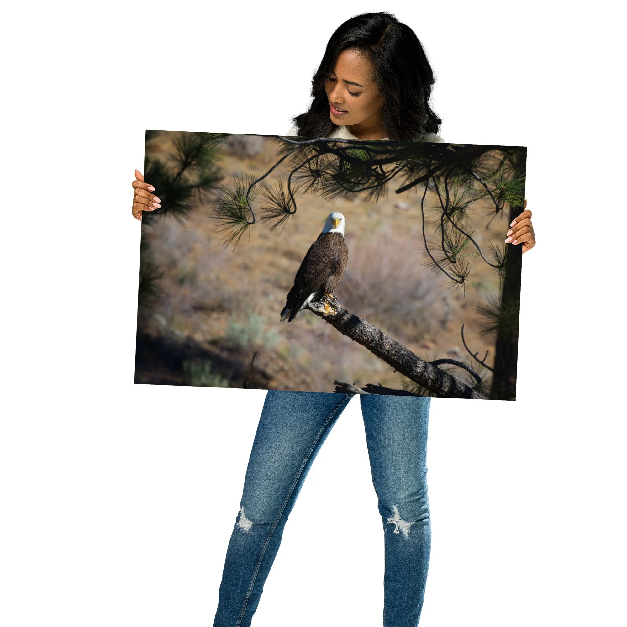 premium-luster-photo-paper-poster-(in)-20x30-front-69b0f1a7a1e0d.jpg