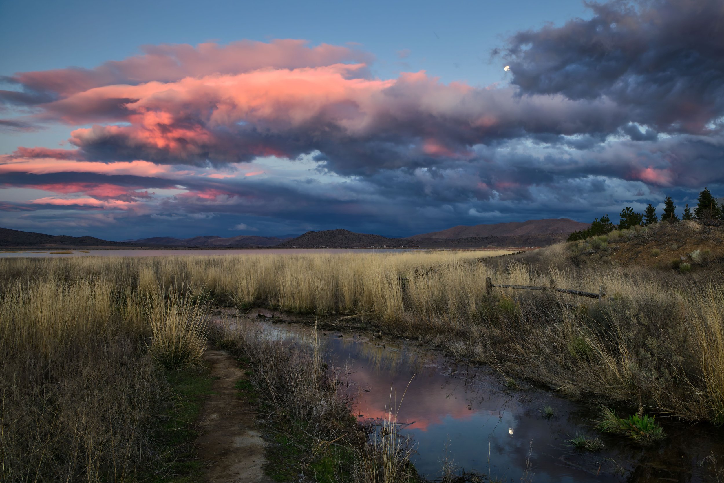 A landscape with tall grass, a small water creek, and mountains in the background under a sky with dark clouds and pink and orange sunset colors, with a visible moon.