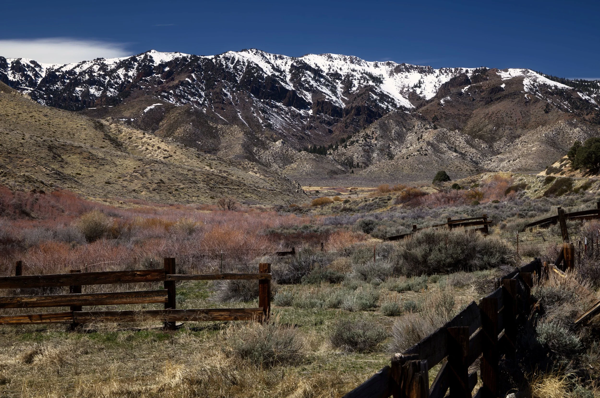 Snow-capped mountains over dry, brushy canyon with a wooden fence running through it.