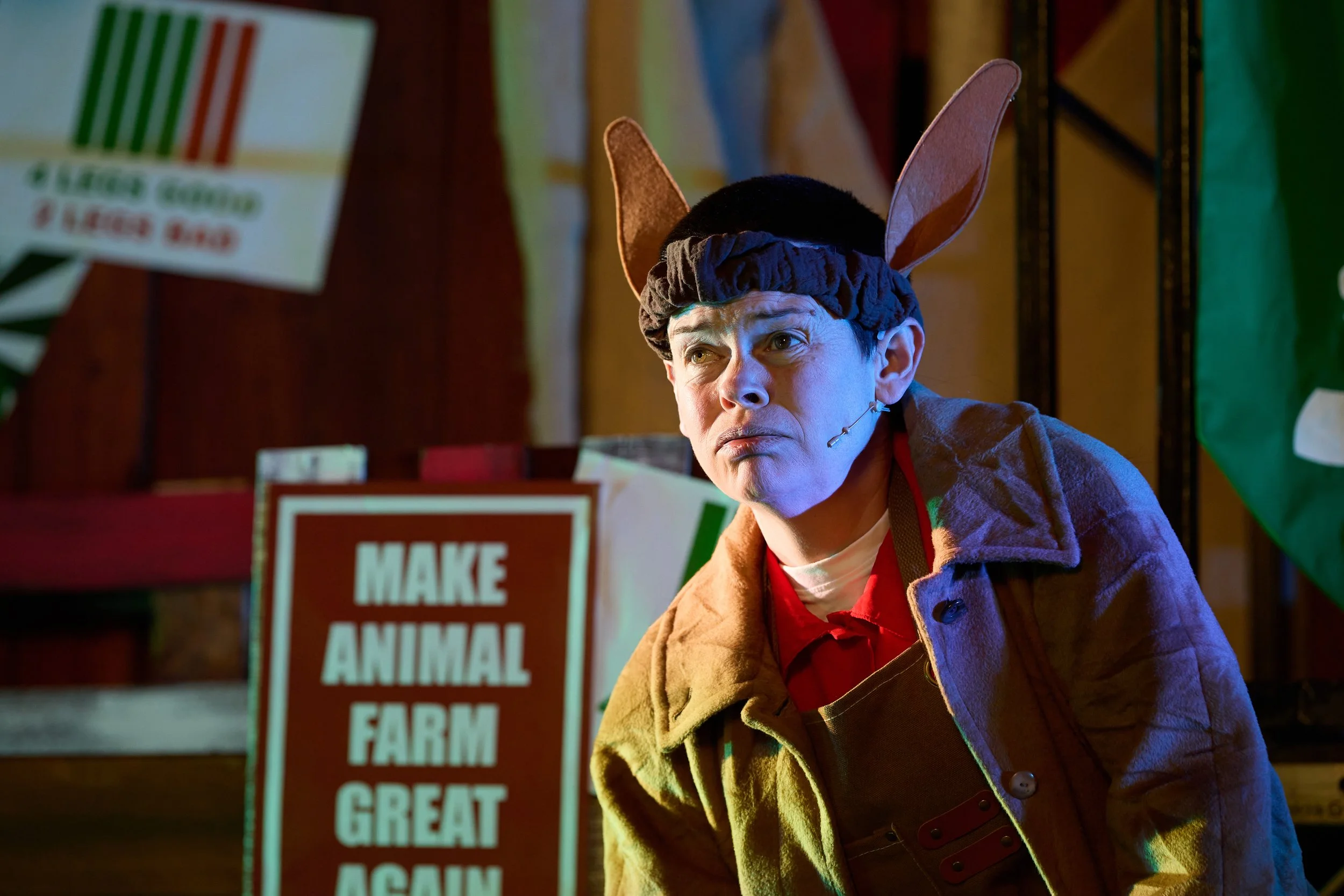 AAA_ANIMAL_FARM_18943_Anna Tolputt as Clover.JPG