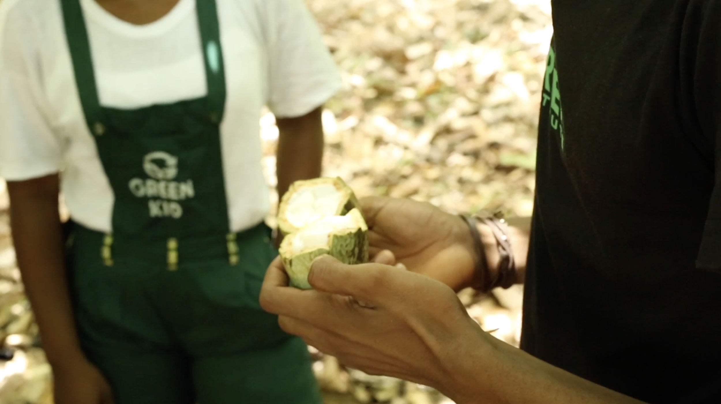 Screen Shot 2020-06-11 at 4.14.41 PM.png