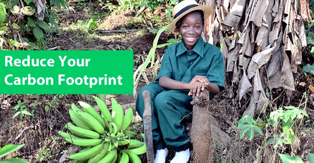 harvard-homaj-sustainabiliyy