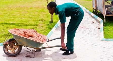 A person pushing a wheelbarrow filled with dirt on a paved walkway.