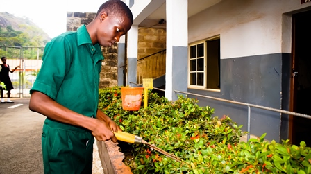 A young man in a green uniform trimming bushes outside a building.