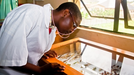 A person wearing a white lab coat and glasses looking at a display case with what appears to be biological specimens or artifacts inside.