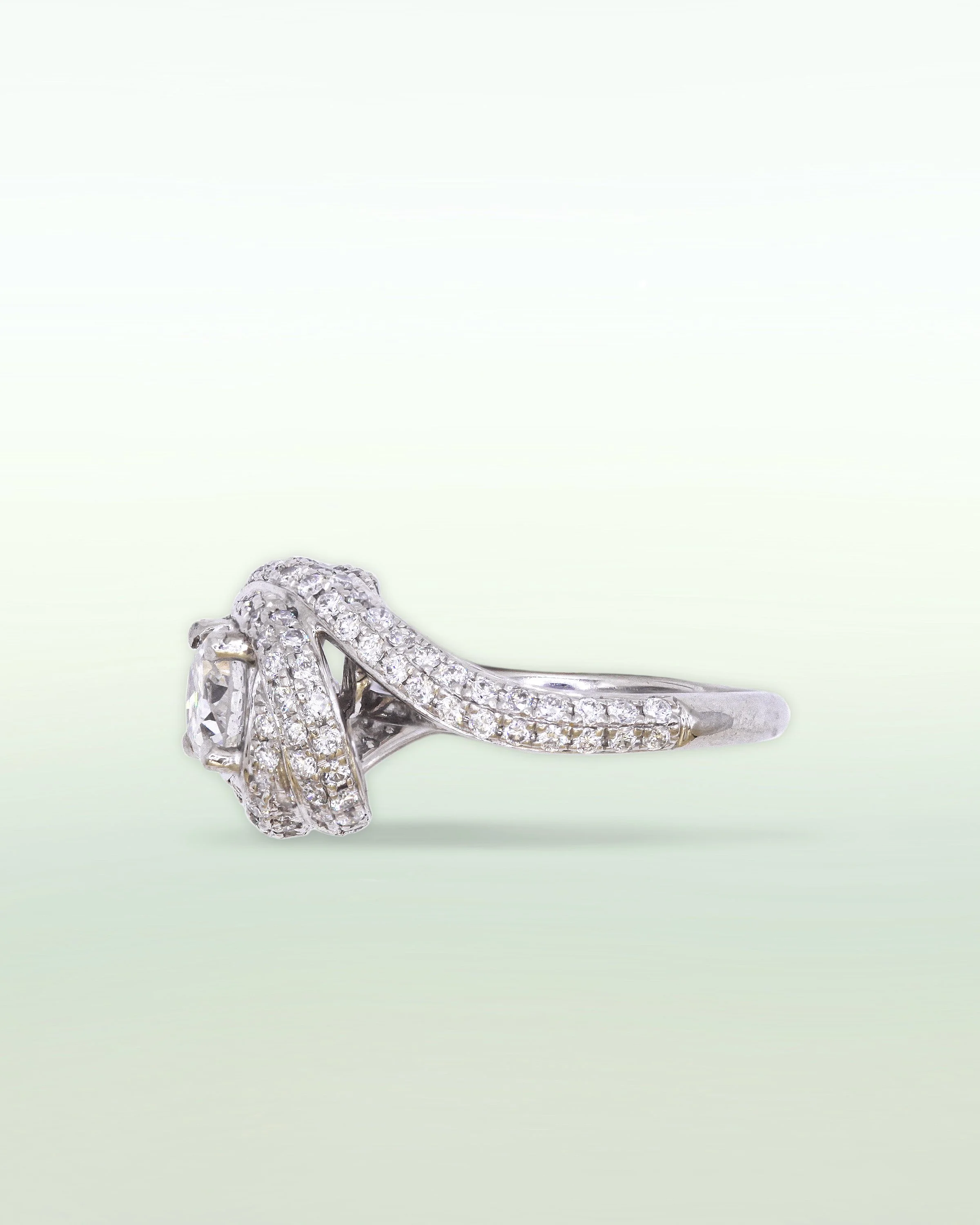ring37C.jpg