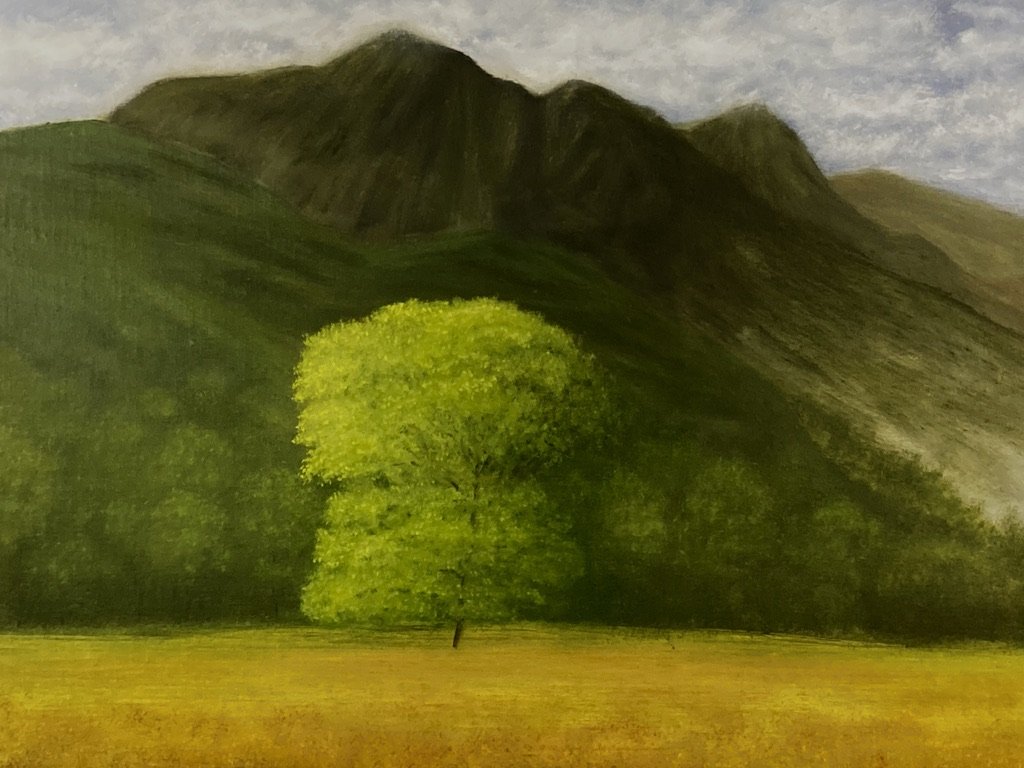 A single bright green tree in a yellow field with mountains in the background.