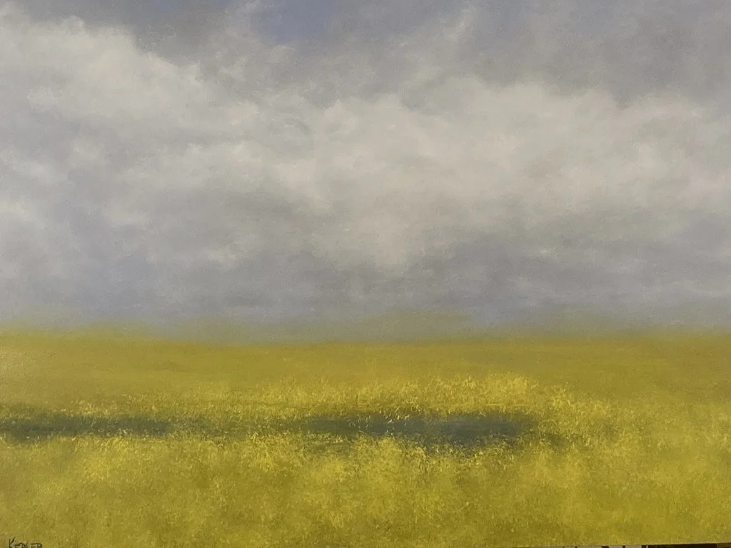 A vast yellow field surrounding a small pond under bright puffy clouds.