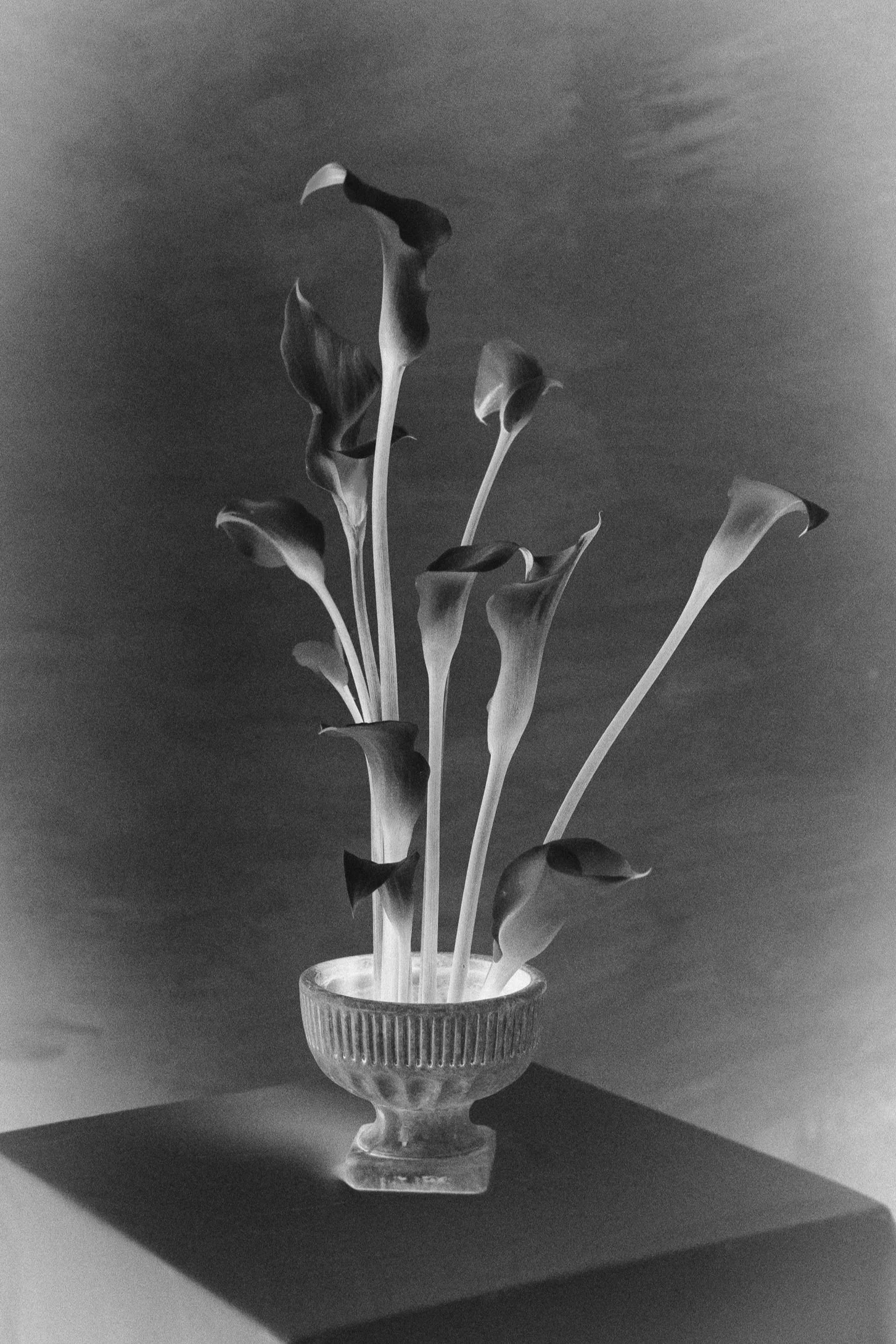 Black and white editorial floral detail featuring elegant calla lilies in a sculptural glass vase.