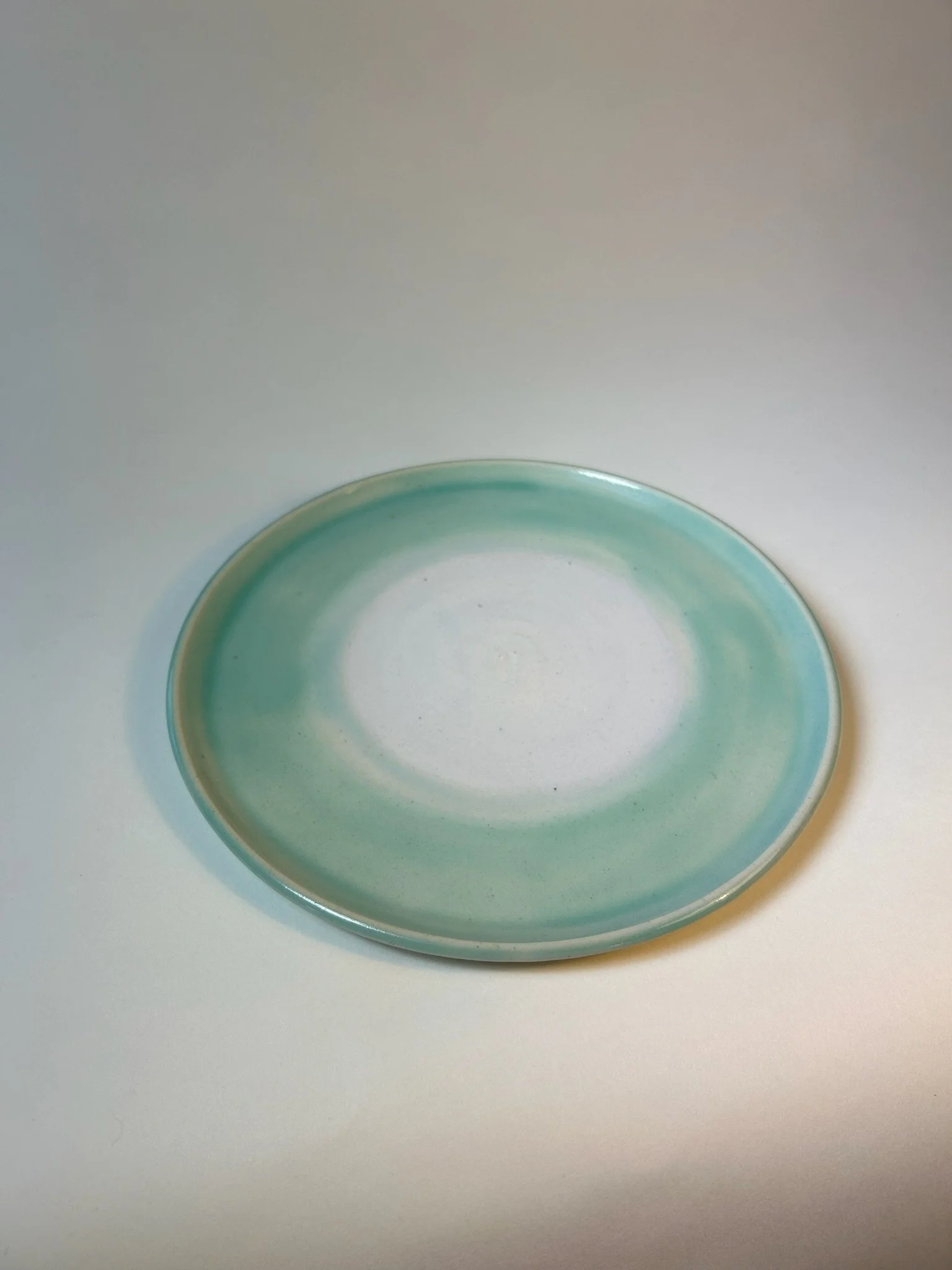 Bolinas dinner plate