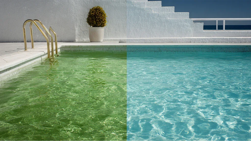 The Green Pool Nightmare in Claremont (And How We Brought It Back to Life)