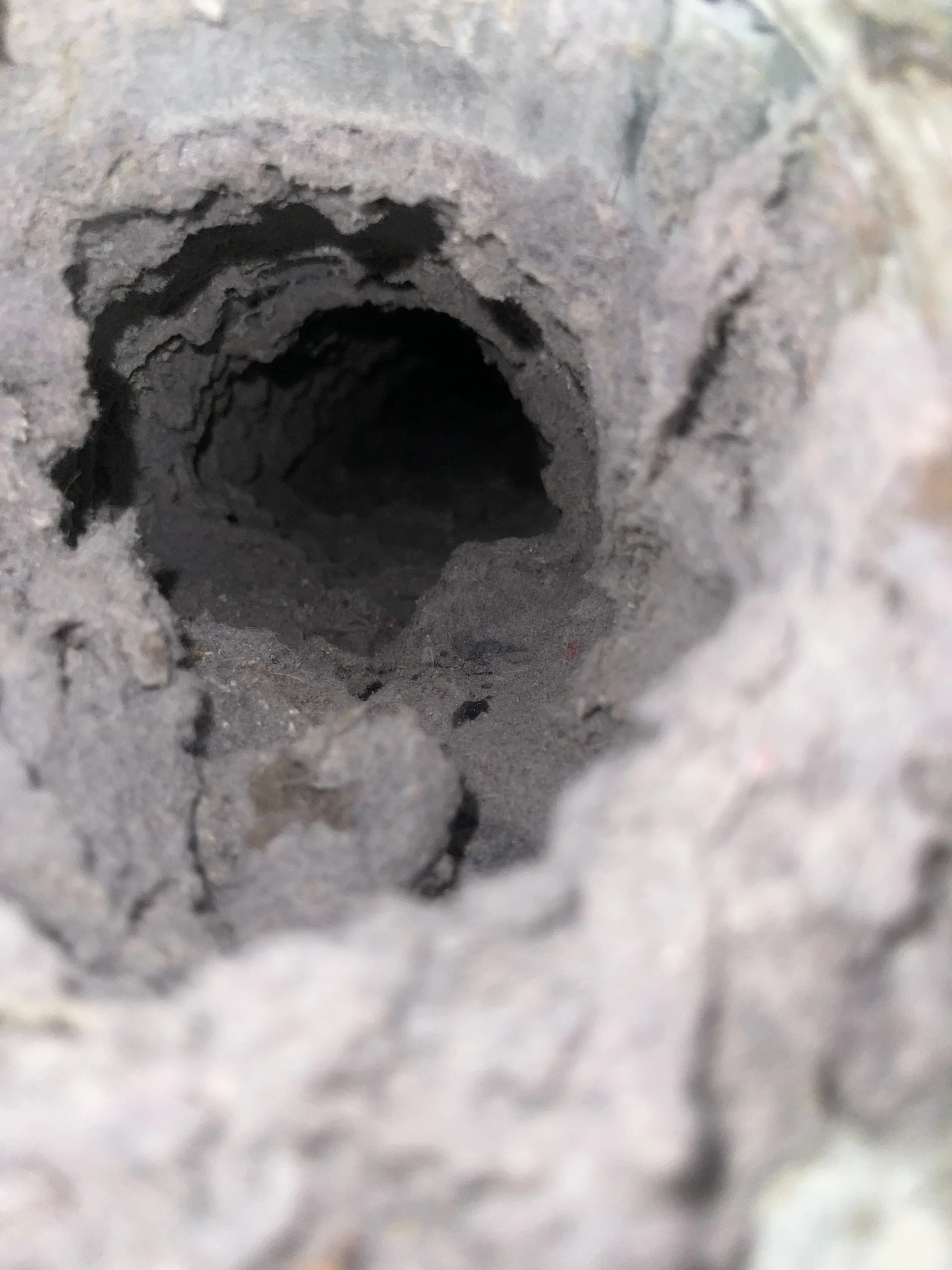 Dirty dryer vent heavily impacted with lint