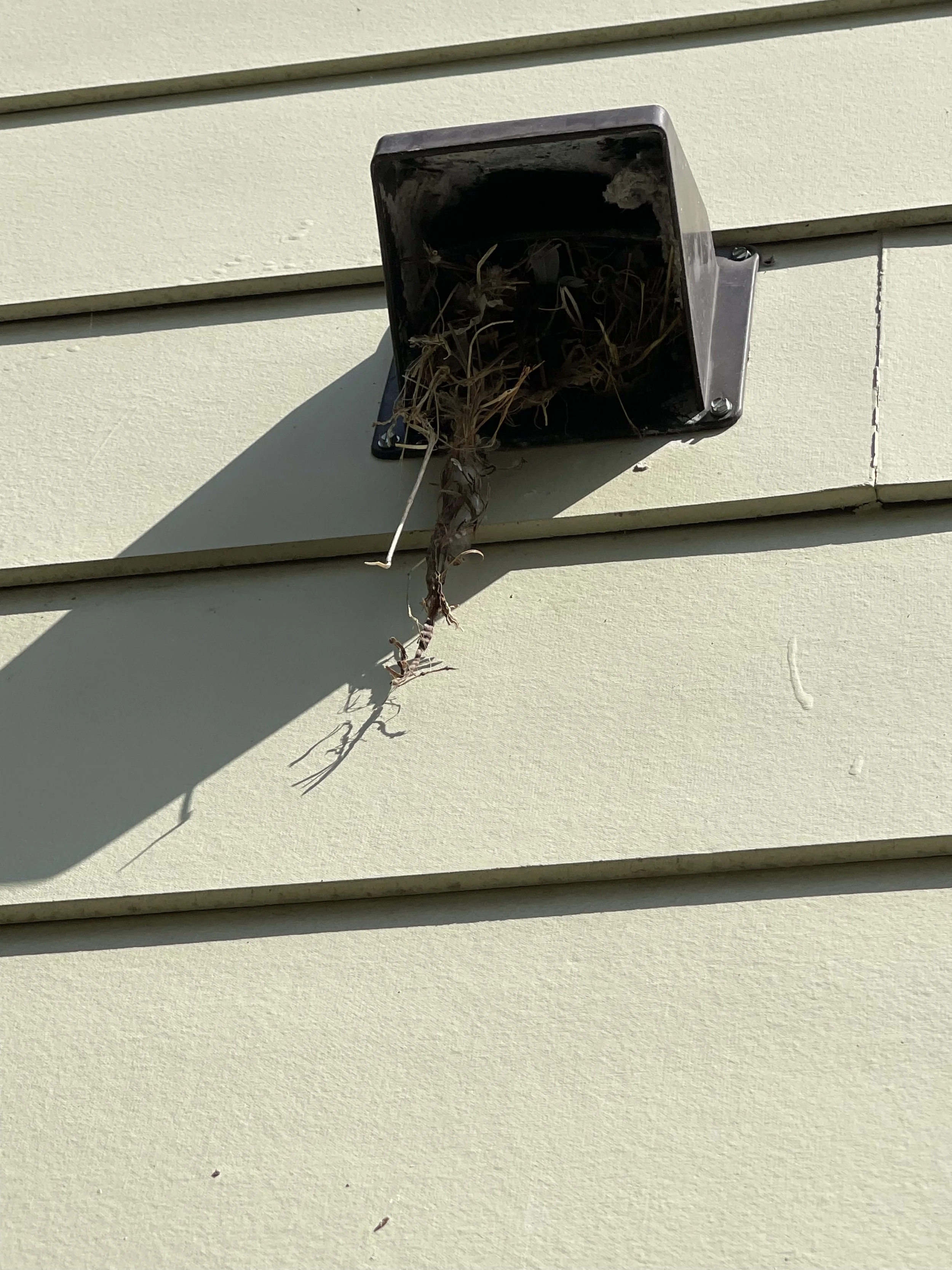 A bird nest with twigs inside a black outdoor vent on the side of a building with horizontal siding, casting a shadow.
