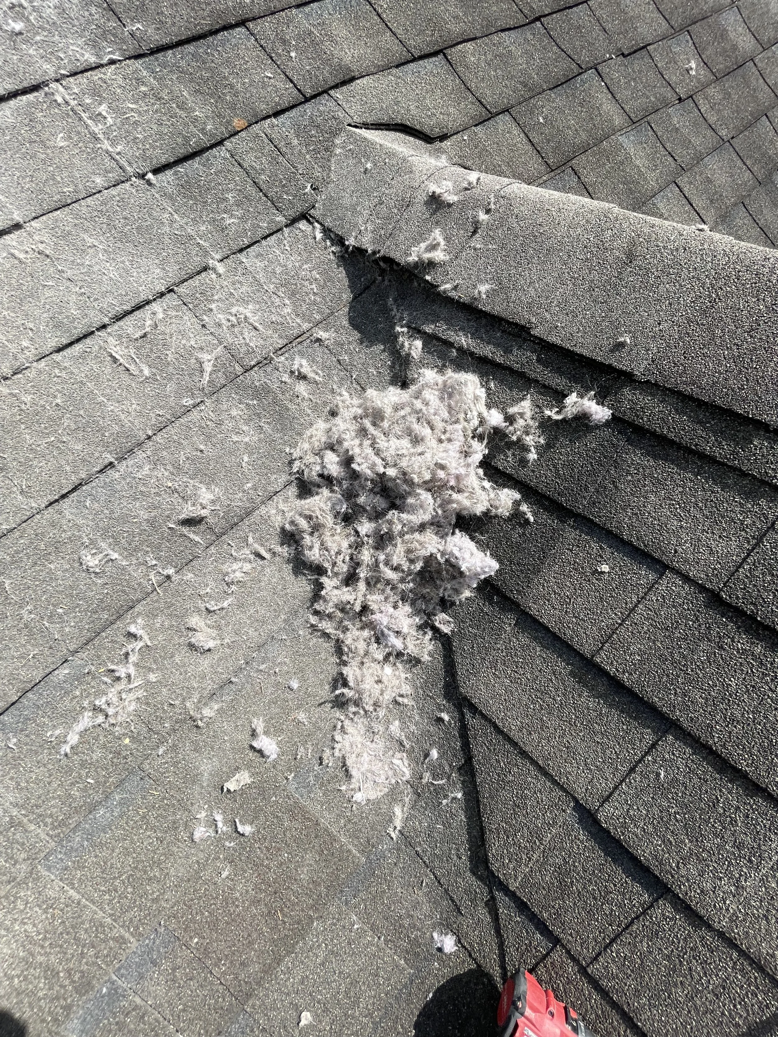A roofing shingle with a tear and some loose fiberglass insulation on the ground. The shingles are asphalt and gray, and a person's foot in a red and black shoe is visible at the bottom of the image.