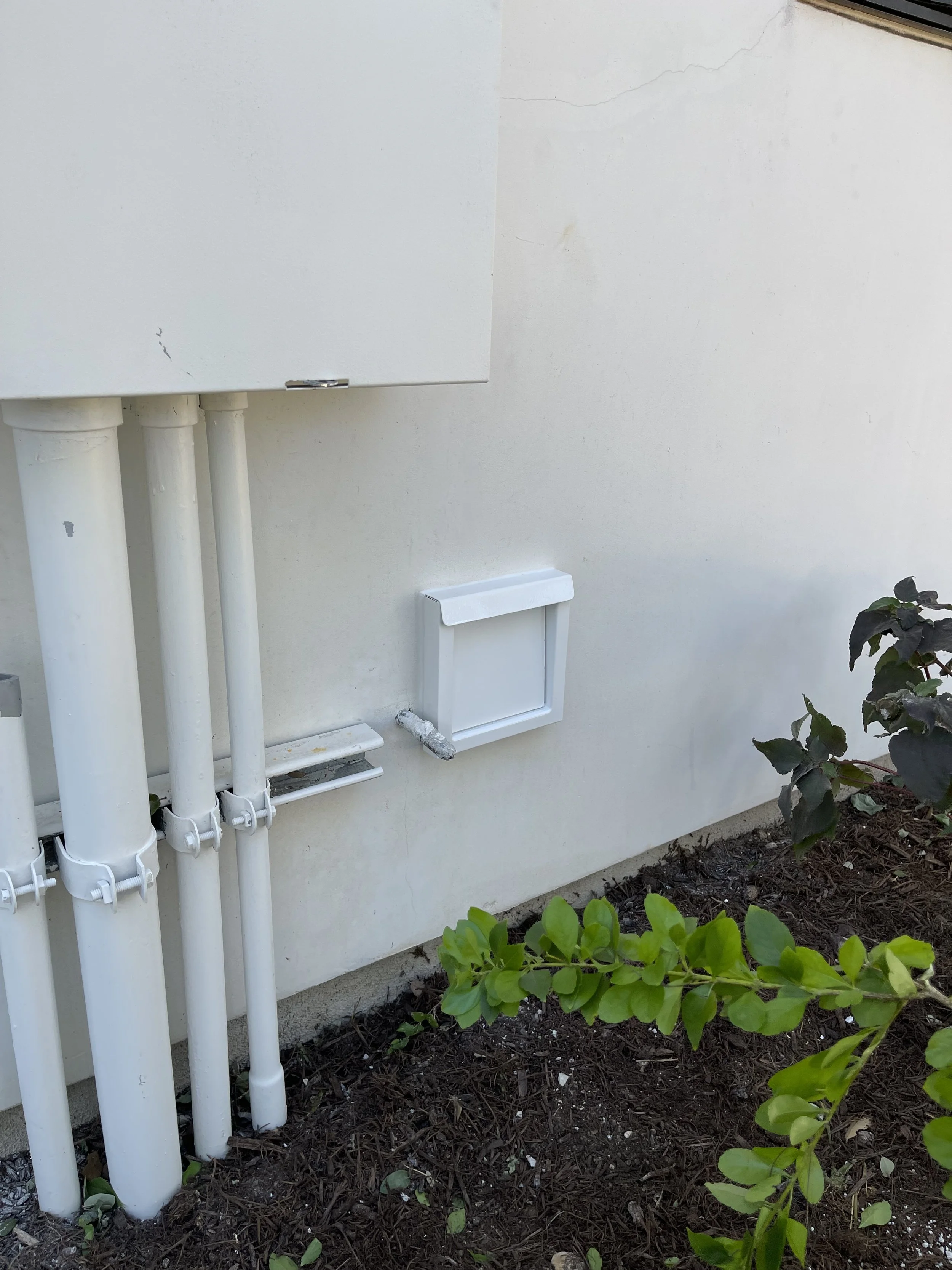 White utility box and four white pipes on beige exterior wall, with small green plants and mulch in soil below.