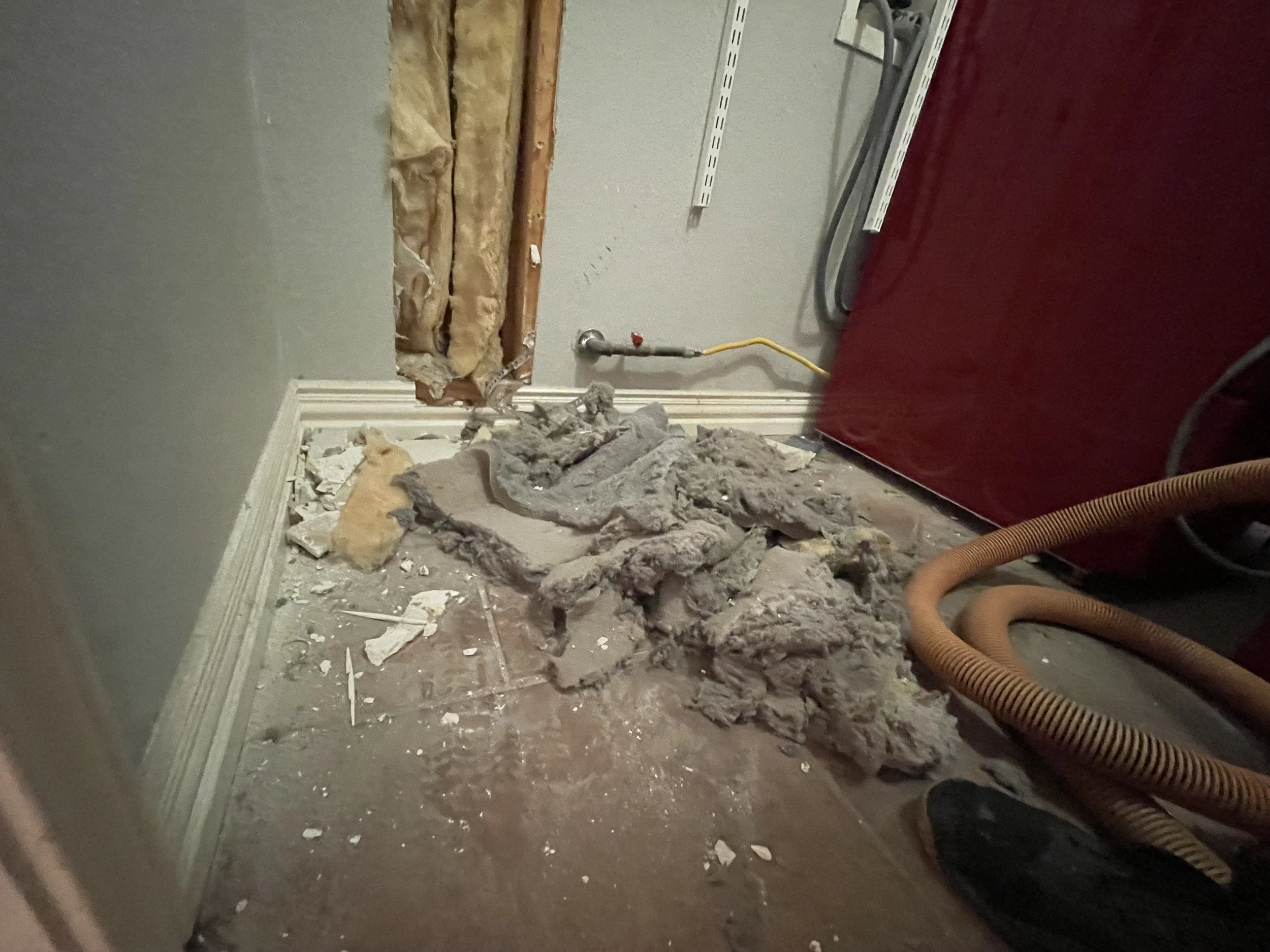 A room under renovation with exposed insulation and wall framing. debris and insulation materials are scattered on the floor. There are electrical cords and a red appliance visible.