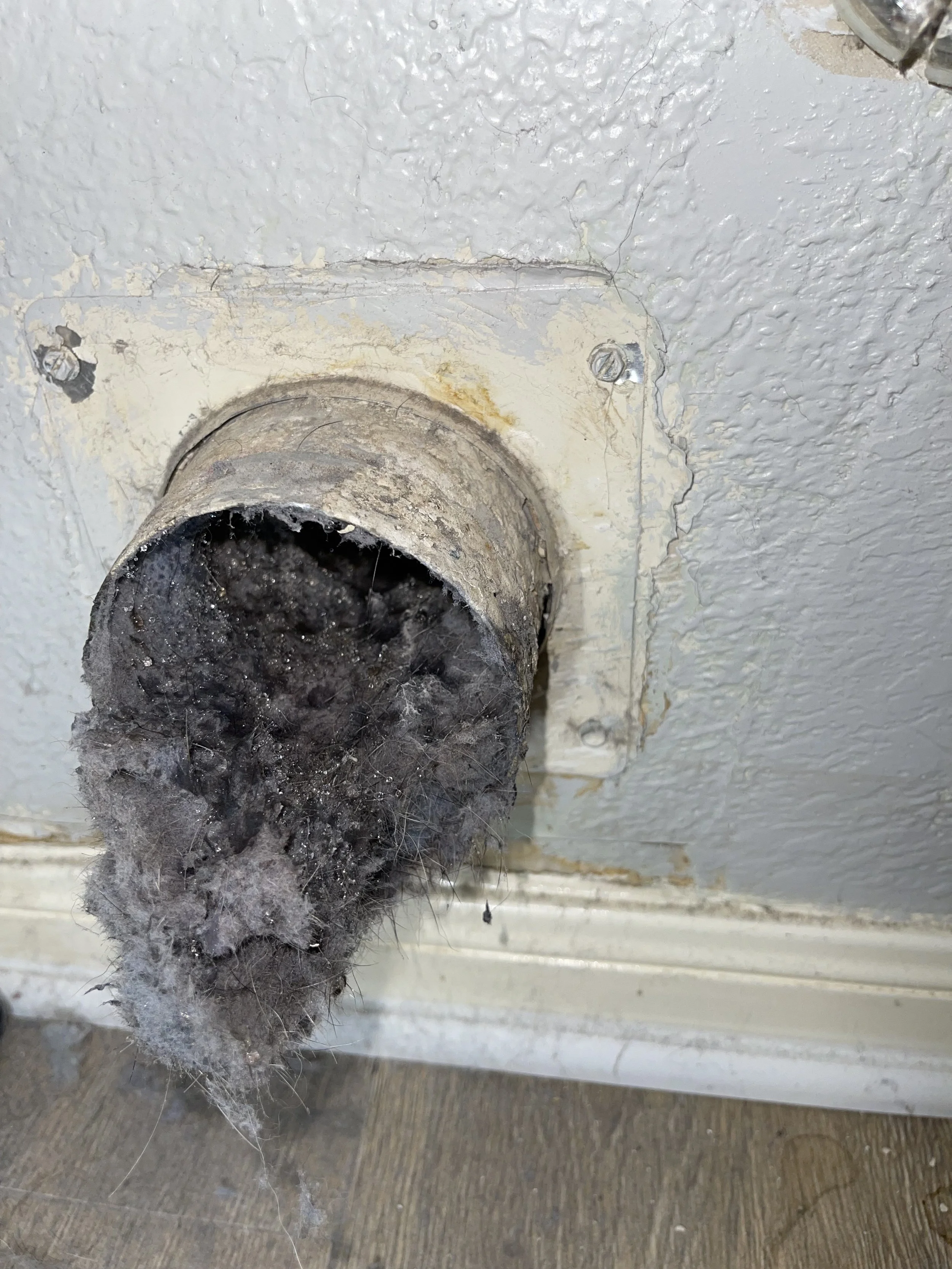 Clogged and dirty drain pipe filled with accumulated hair and debris.