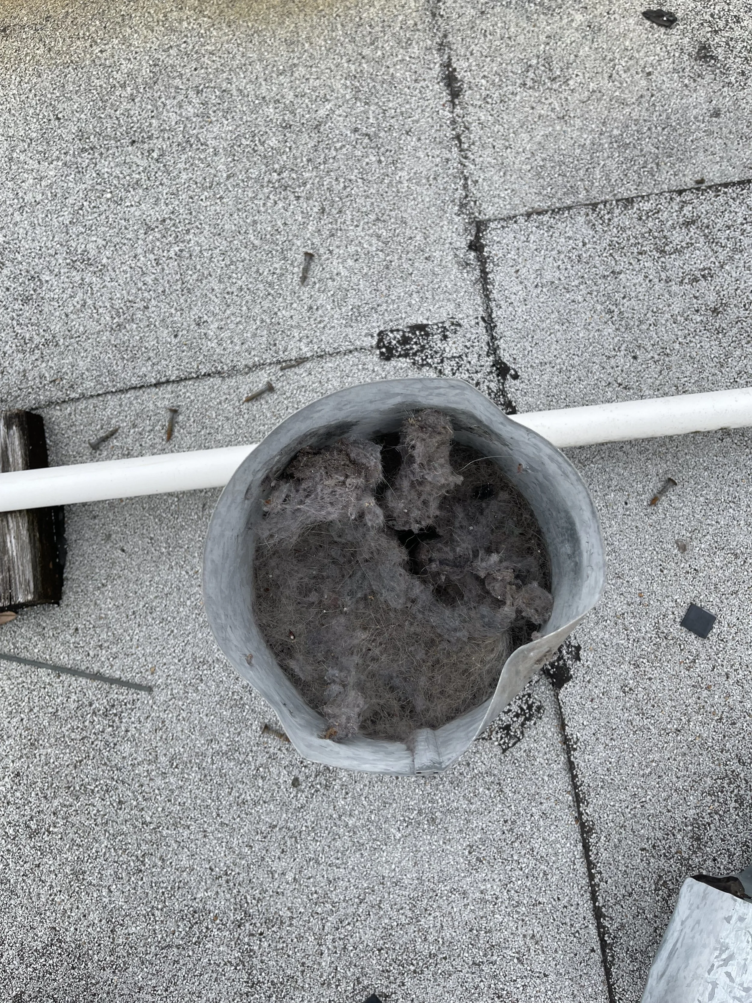 A trash can filled with old, tangled, grayish insulation or insulation-like material. The trash can is placed on a concrete surface with some small debris scattered around.