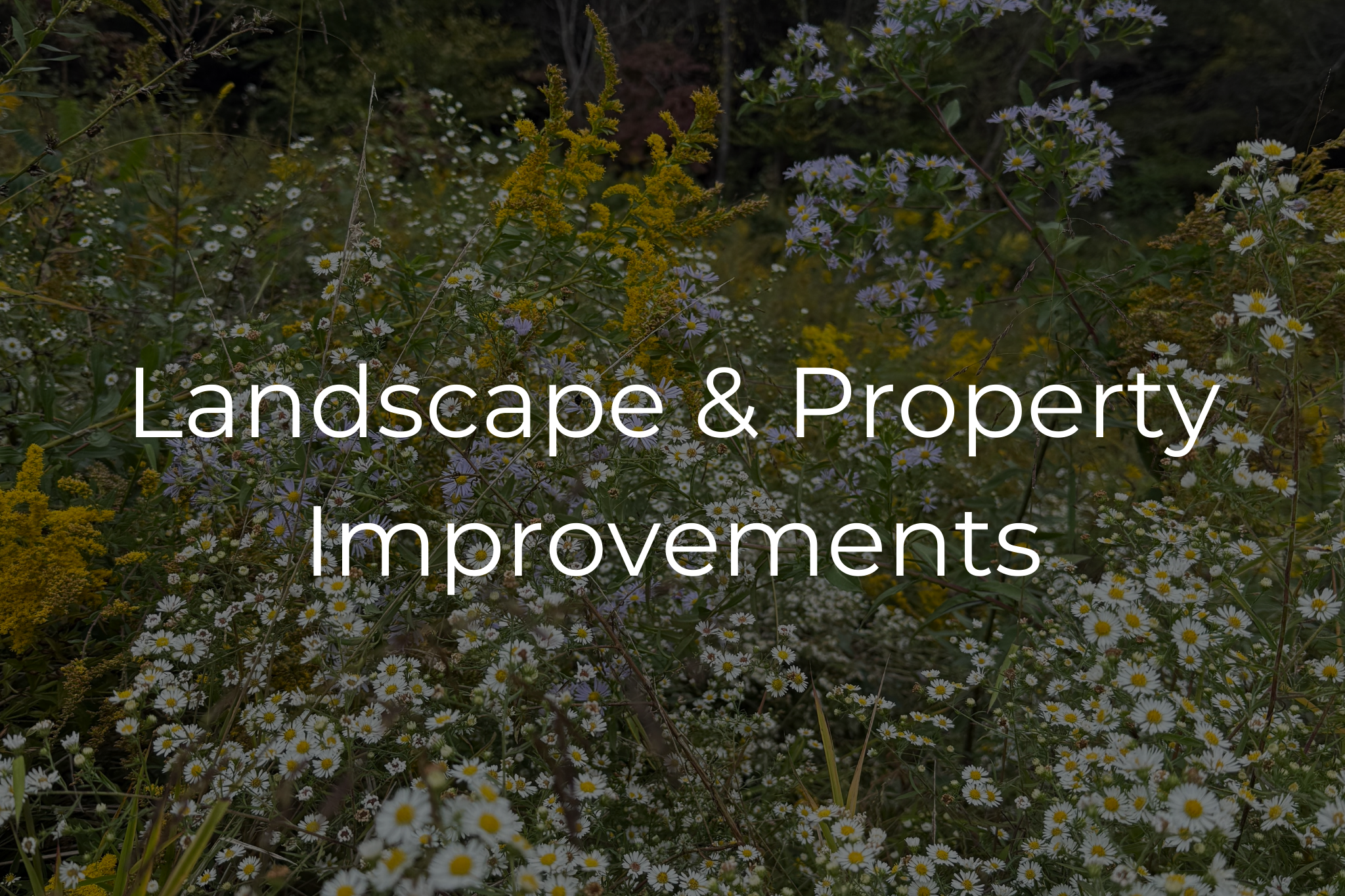 Landscaping installation, design and services in western North Carolina. 