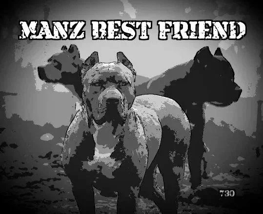 Manz Best Friend Entertainment        👉 =  to go to shop 