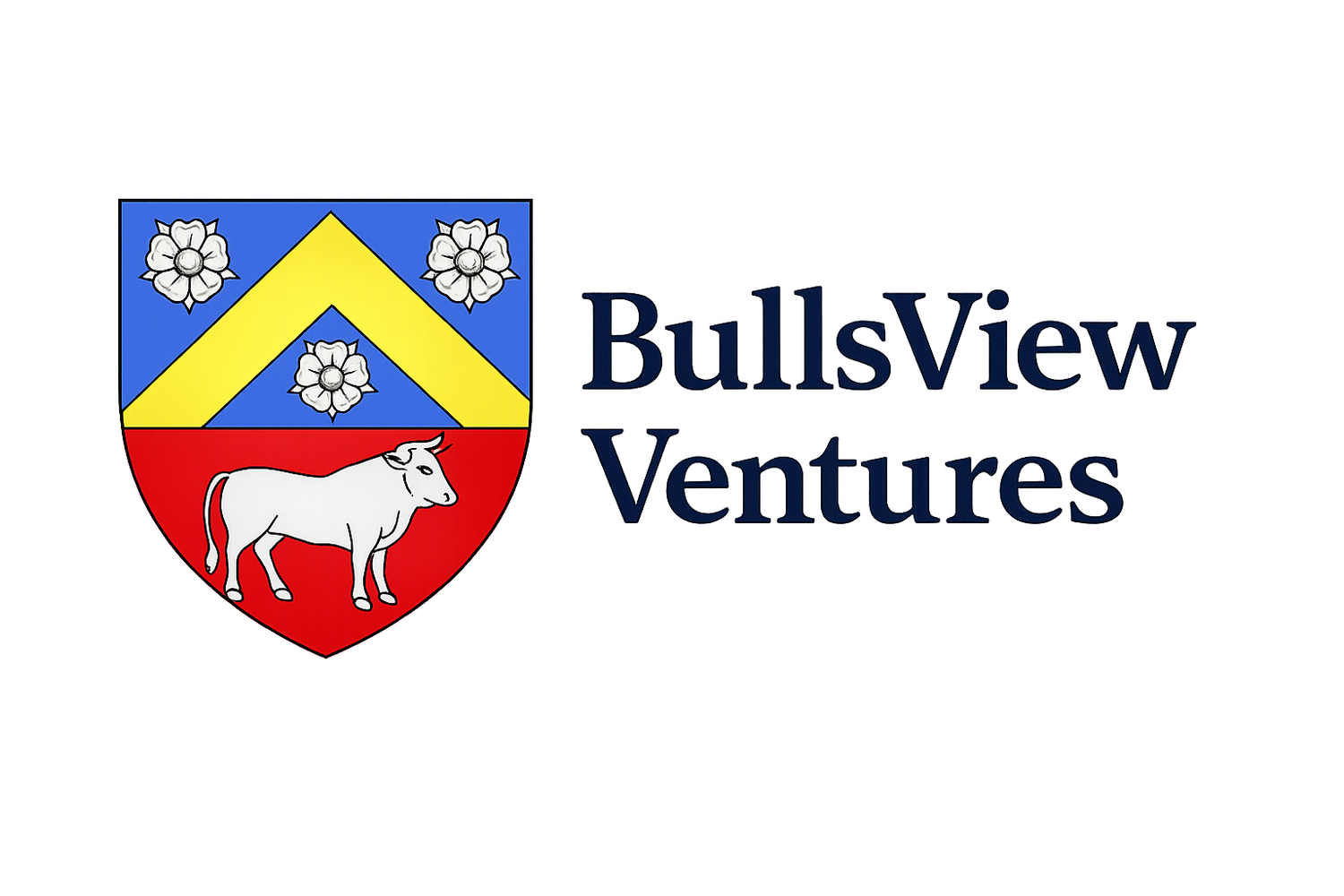 BullsView Ventures