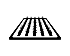 Retention Ponds & Rain Gardens