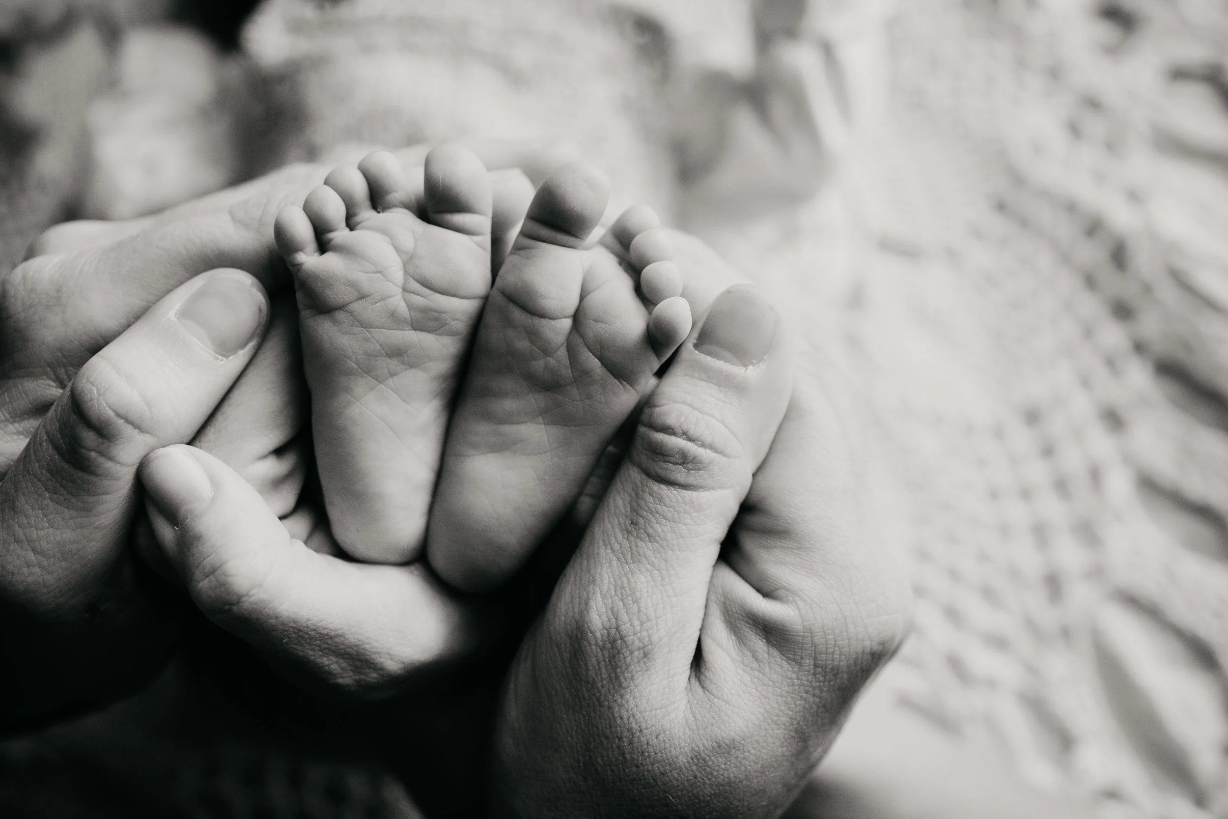 Manos adultas sosteniendo un pie de bebé