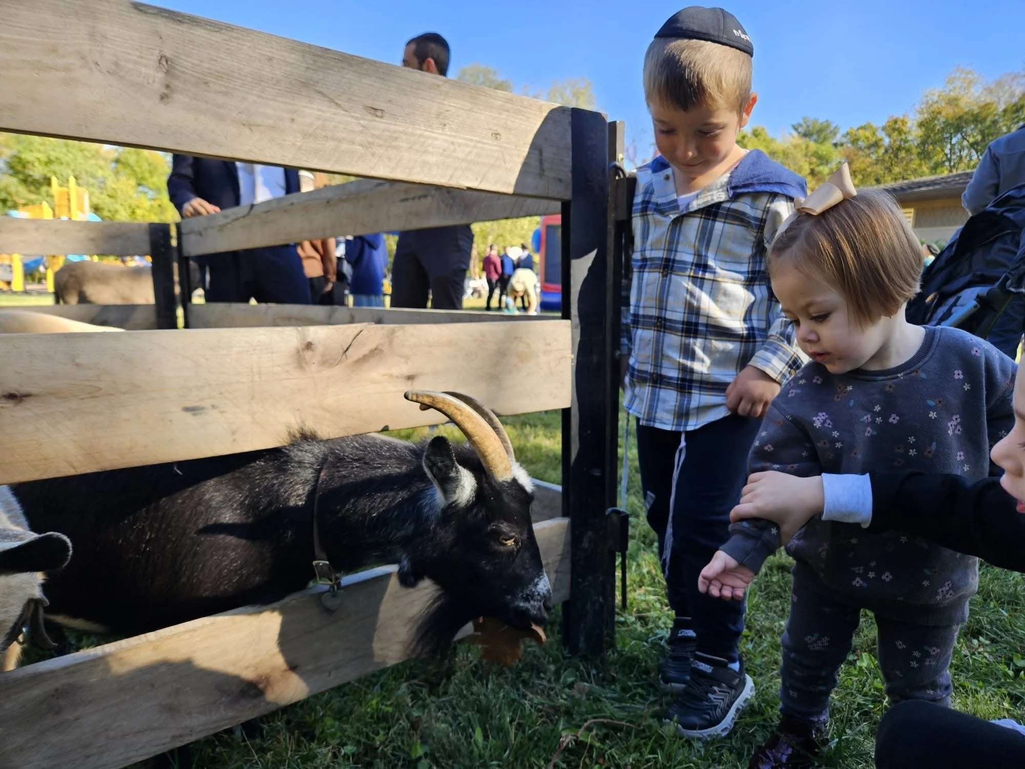 Two young children, a boy and a girl, petting a goat through a wooden fence at an outdoor event with other people and trees in the background.