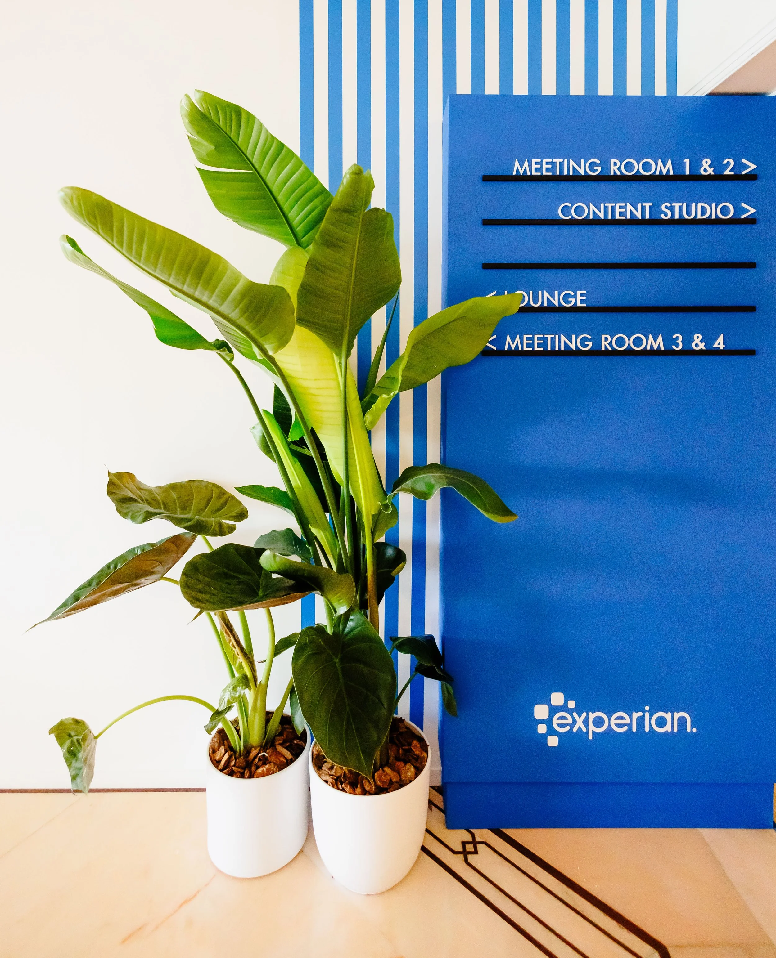 2025_06_15_Experian_162 (1).jpg