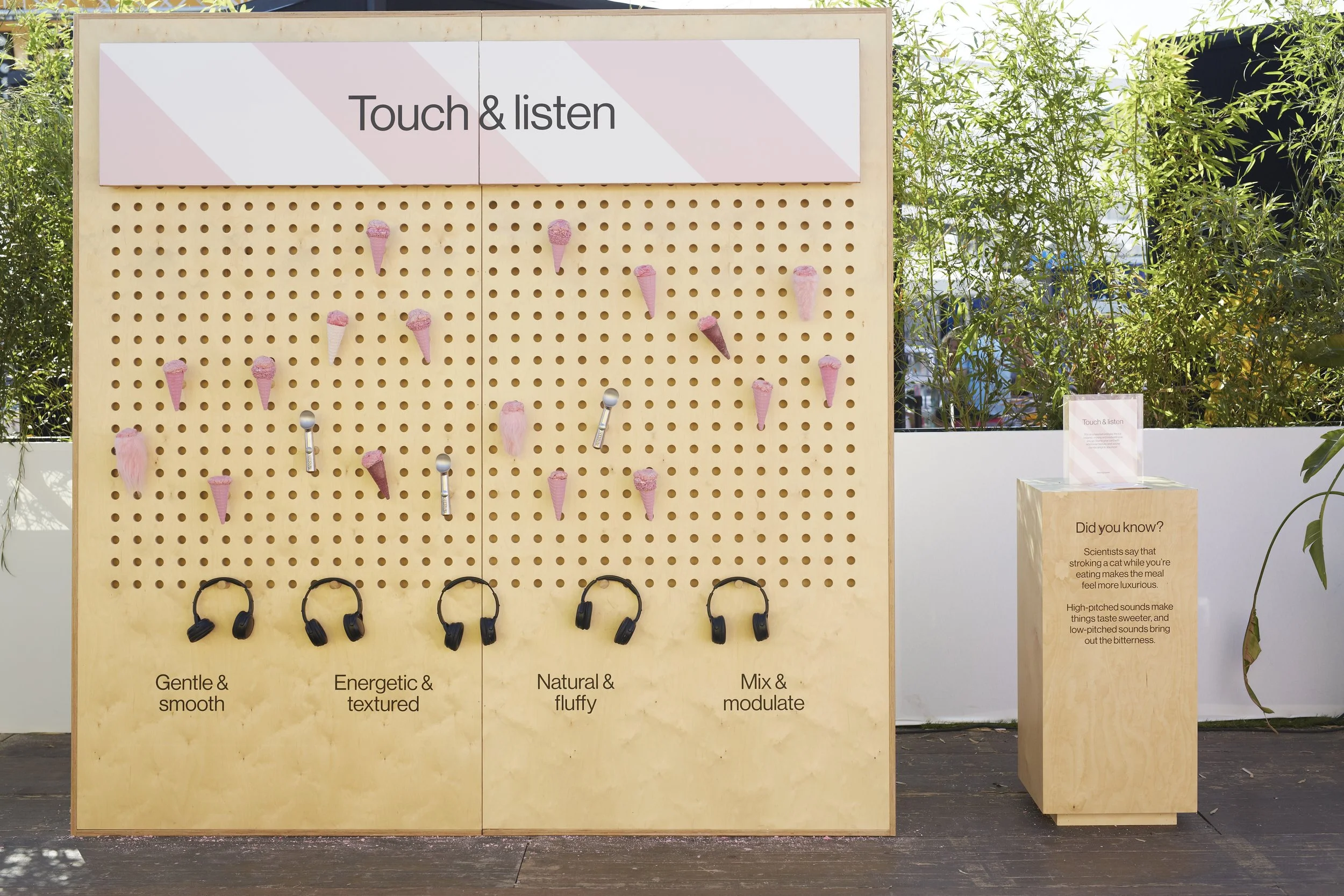 Discover Area_030.jpg