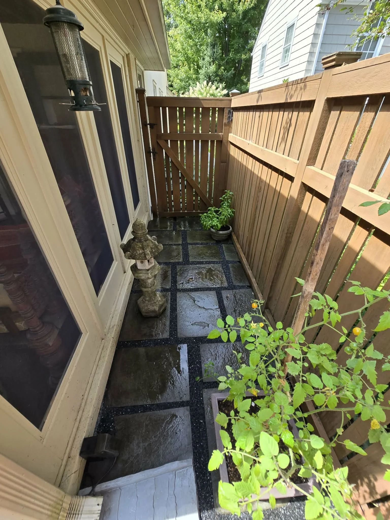 side yard paver path with landscaping and drainage solution