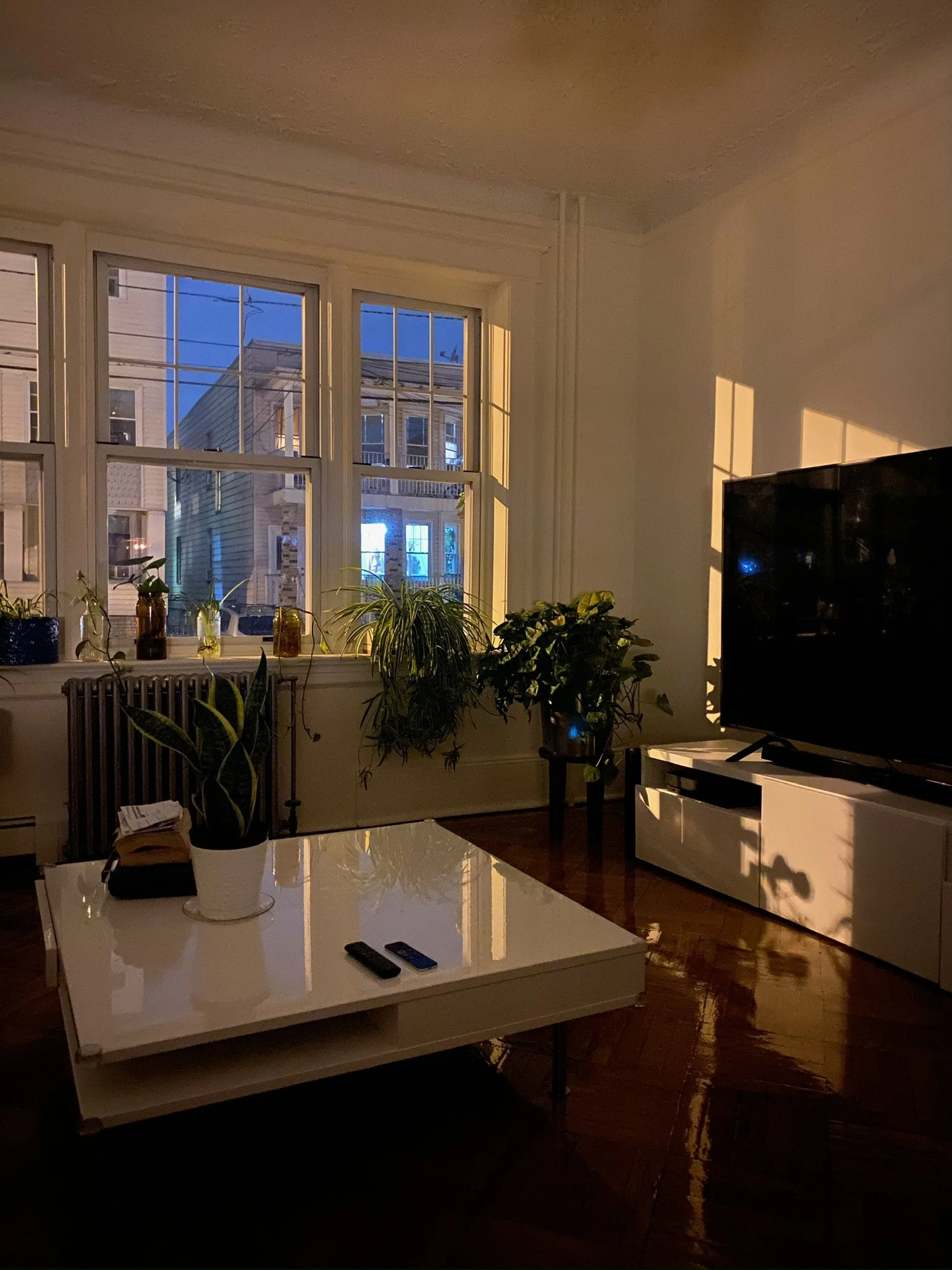 Living room during evening with sunlight casting shadows, featuring a window with city buildings outside, potted plants, a white coffee table with remote controls, and a TV on a white stand.