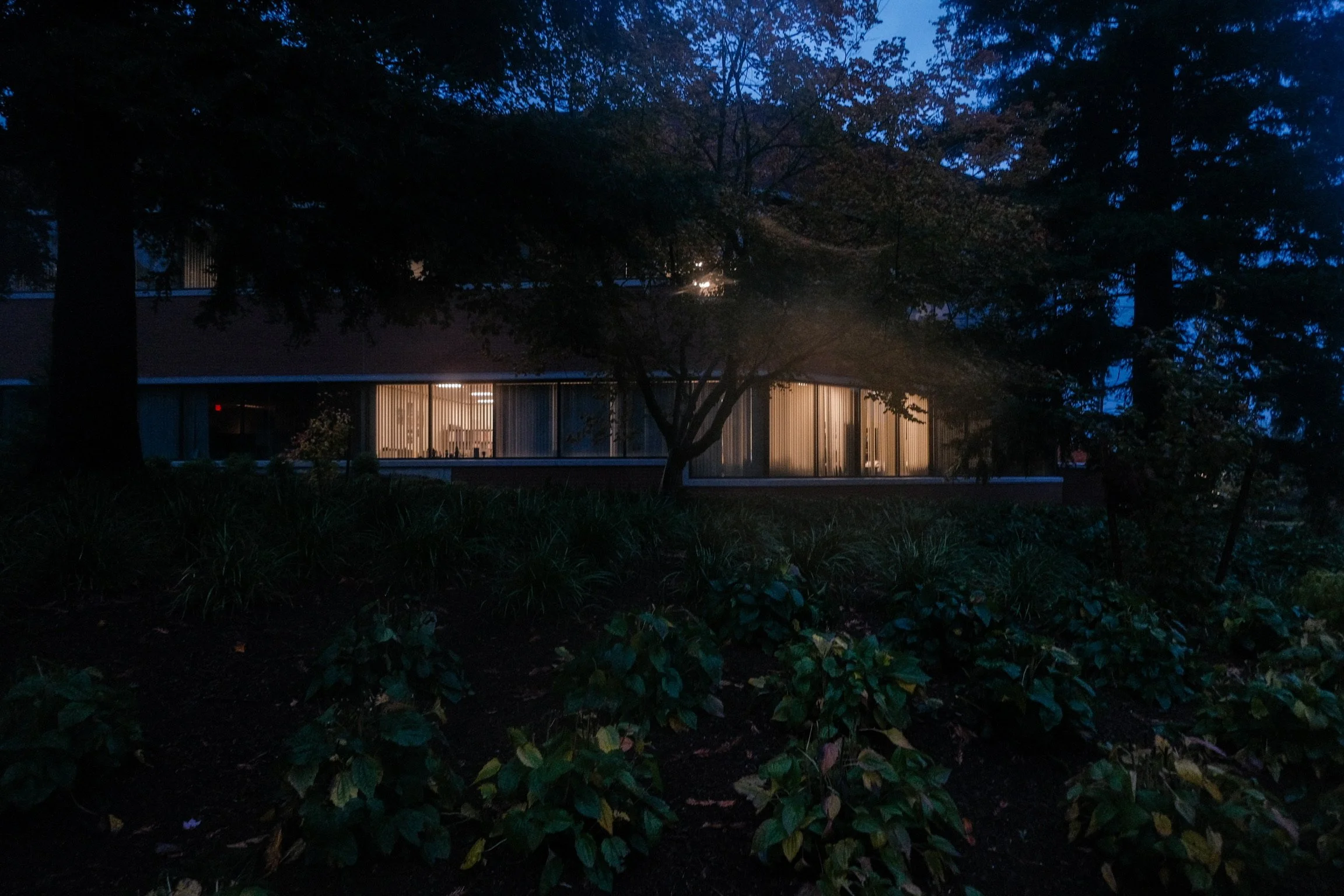 A building with large glass windows illuminated from inside, seen through trees and foliage during twilight or early evening.