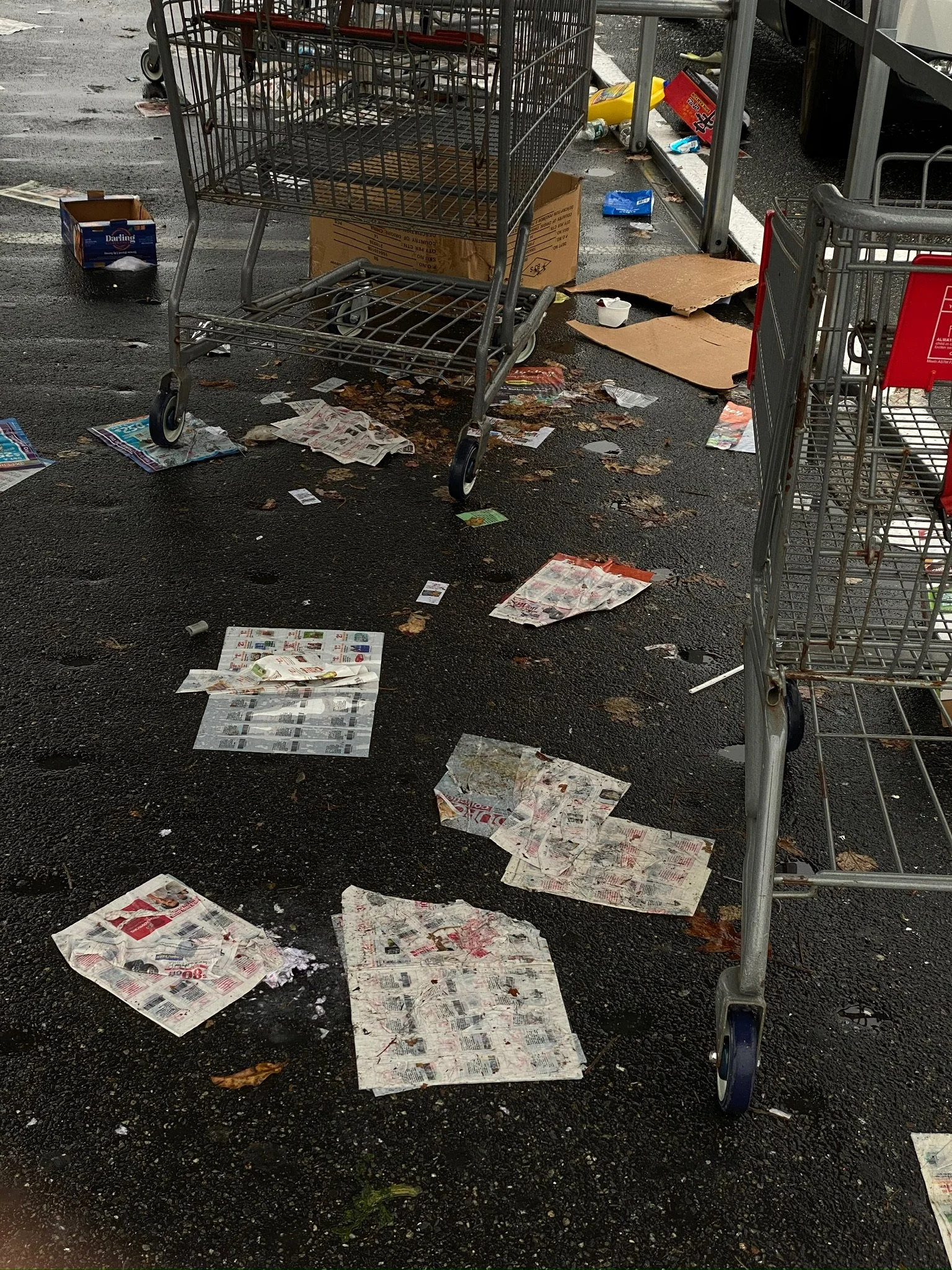 Scattered papers and trash on wet ground between shopping carts in a grocery store parking lot.