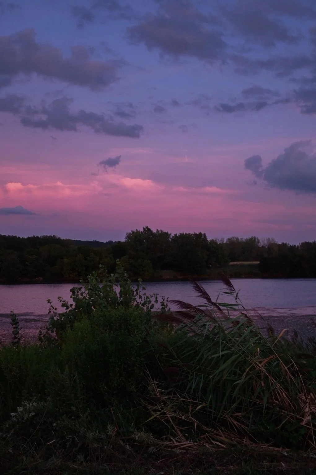 A serene river landscape during sunset with purple and pink sky, trees along the riverbank, and tall grass in the foreground.