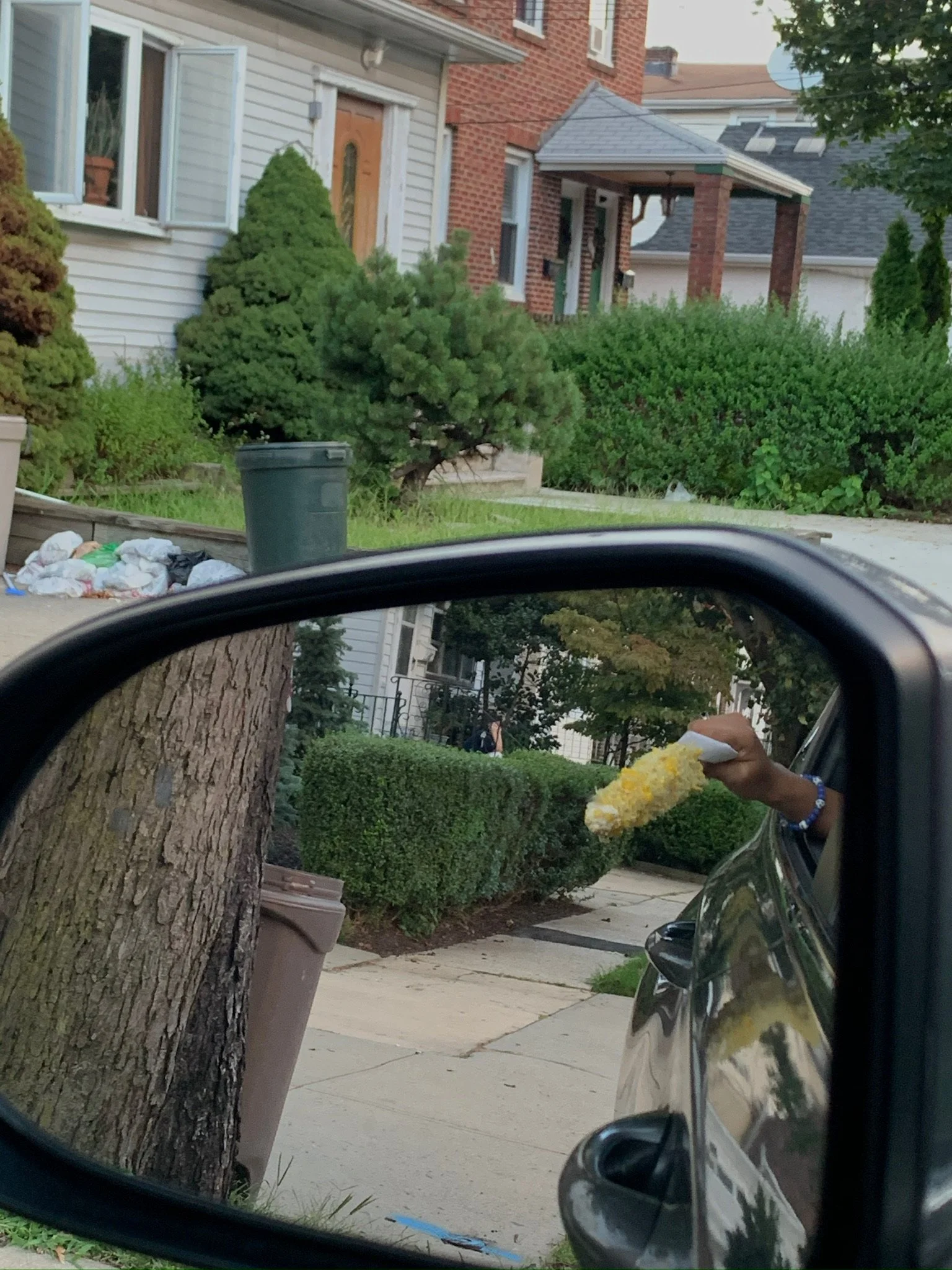 A person's hand holding a floral lei outside a car window on a residential street with green bushes and houses in the background.