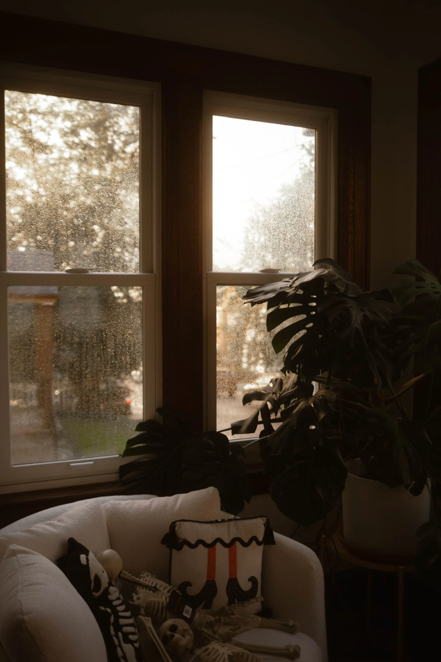 A cozy indoor scene with a white armchair, decorated with skeleton and zebra-themed pillows, in front of a window with raindrops on the glass and a foggy outdoor view of rain and trees.