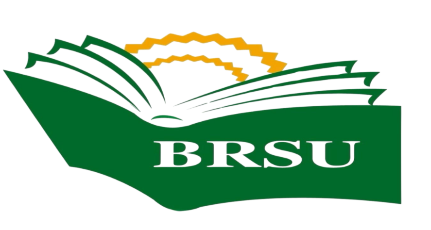 Burmese Rohingya Student Union 