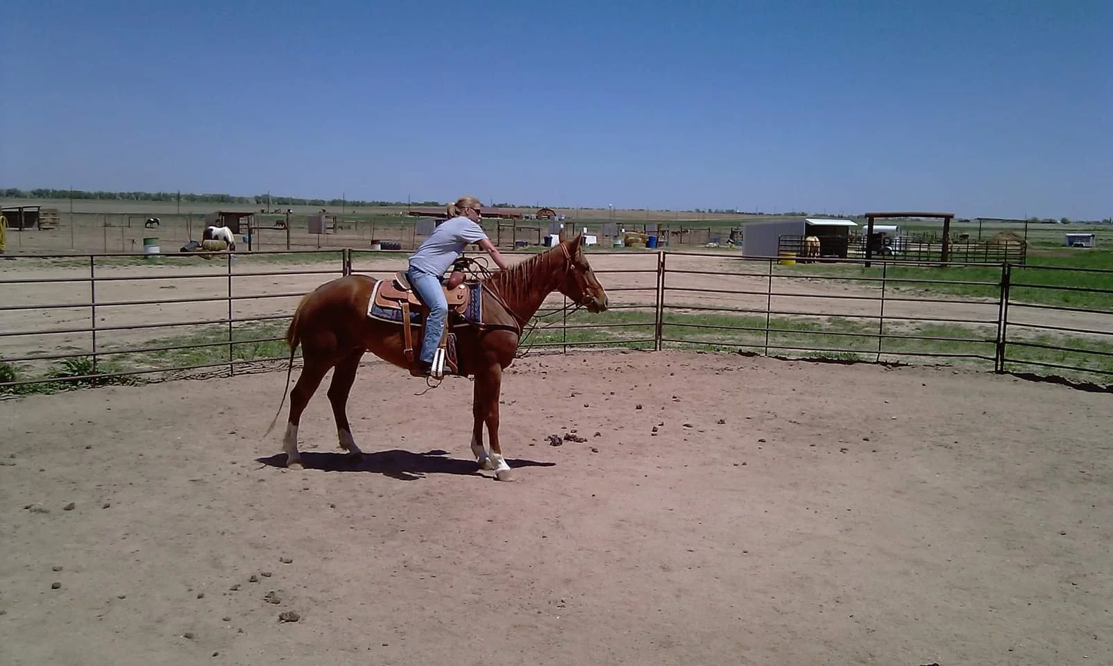Person riding a brown horse inside a fenced riding arena on a sunny day.
