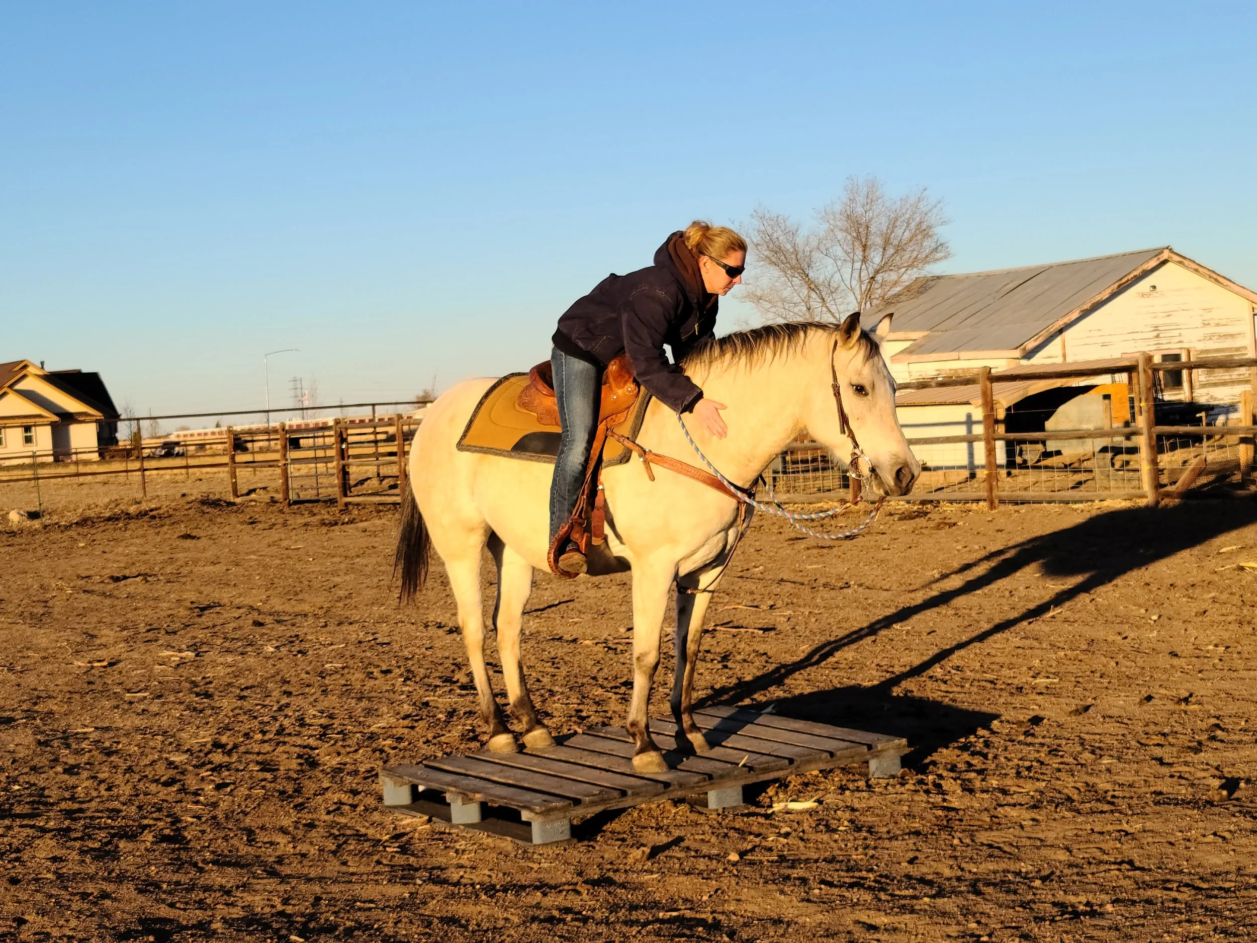 A woman riding a white horse standing on a wooden pallet in an outdoor corral at sunset.