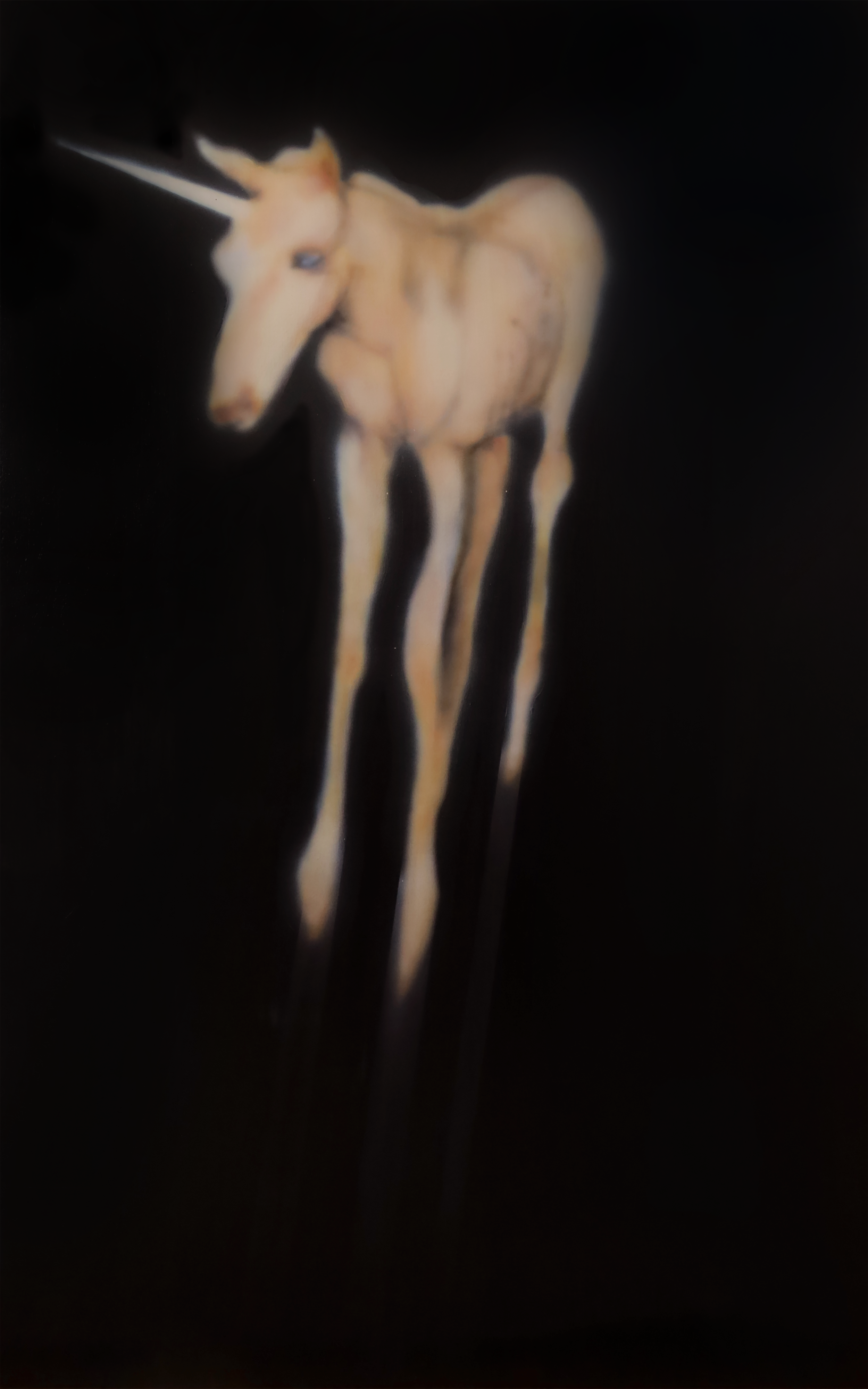Final horse print-social sharing image.png